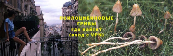 гидропоника Арсеньев