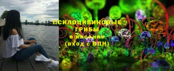 гидропоника Арсеньев