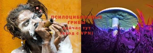соль курить ск Аркадак