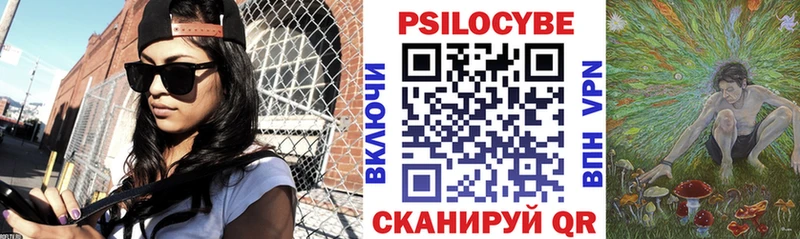 Галлюциногенные грибы Psilocybe  Семикаракорск 